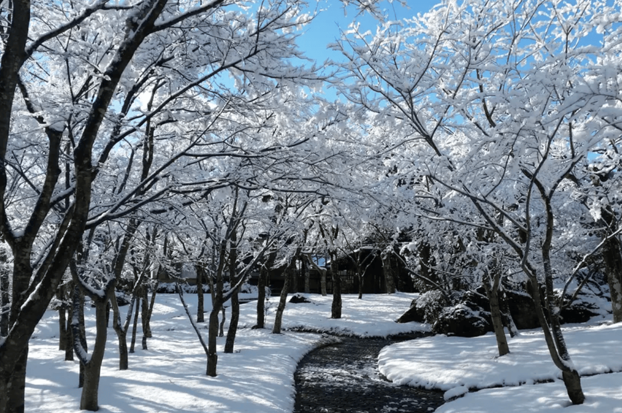 【神奈川冬季景點】7. 箱根美術館